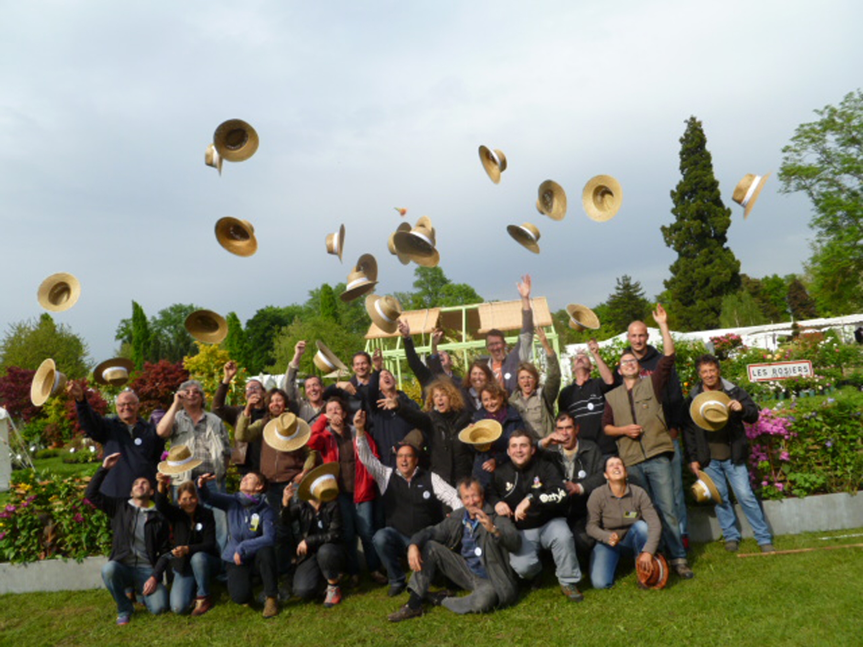 groupe de plantes et cultures